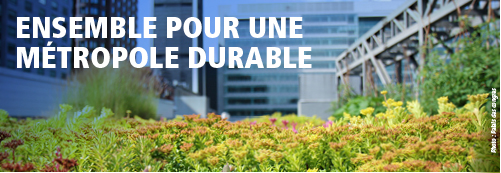 Developpement_durable_plan_2016_2020.jpg