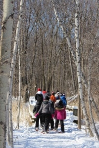 Été, comme hiver